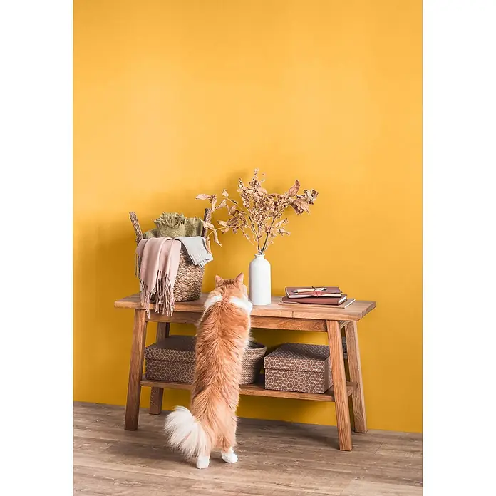 Caleo Color Wandfarbe Lehmfarbe Bienenwabe - Bienenwabe, Matt, 5 l - Holzkonsole mit einem Korb mit Decken, einer Vase mit Trockenblumen und Büchern. Eine Katze inspiziert den Tisch.