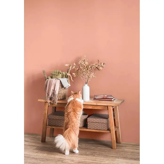 Caleo Color Wandfarbe Lehmfarbe Pfirsichduft - Pfirsichduft, Matt, 5 l - Hölzerner Konsolentisch, an dem eine Katze hochsteht. Dient als Ablage und Dekoration.