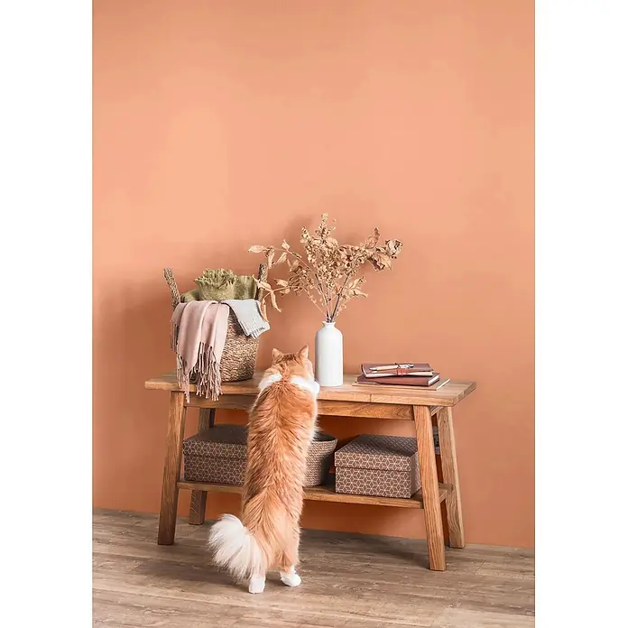 Caleo Color Wandfarbe Lehmfarbe Honigmelone - Honigmelone, Matt, 10 l - Hölzerne Konsole mit Ablage, darauf Korb, Vase und Bücher. Eine Ingwerkatze erkundet die Oberfläche.