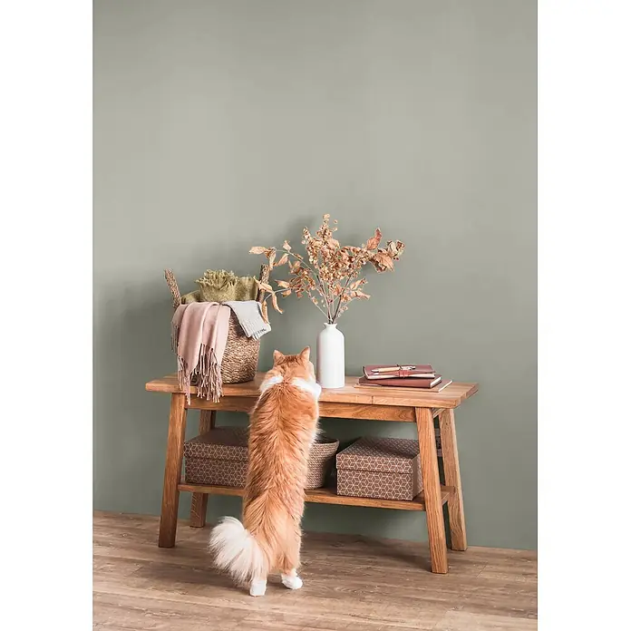 Caleo Color Wandfarbe Lehmfarbe Rauchschwade - Rauchschwade, Matt, 2,25 l - Zweistufiger Konsolentisch aus Holz, dekoriert mit Korb, Vase, Büchern und Boxen. Eine Katze erkundet neugierig die Tischplatte.