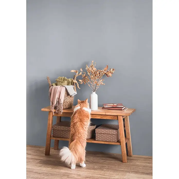 Caleo Color Wandfarbe Lehmfarbe Flusskiesel - Flusskiesel, Matt, 10 l - Eine orange Katze steht auf den Hinterbeinen und blickt auf einen Holzkonsolentisch mit Korb, Vase und Notizbüchern, der seine Nutzung im Heim zeigt.