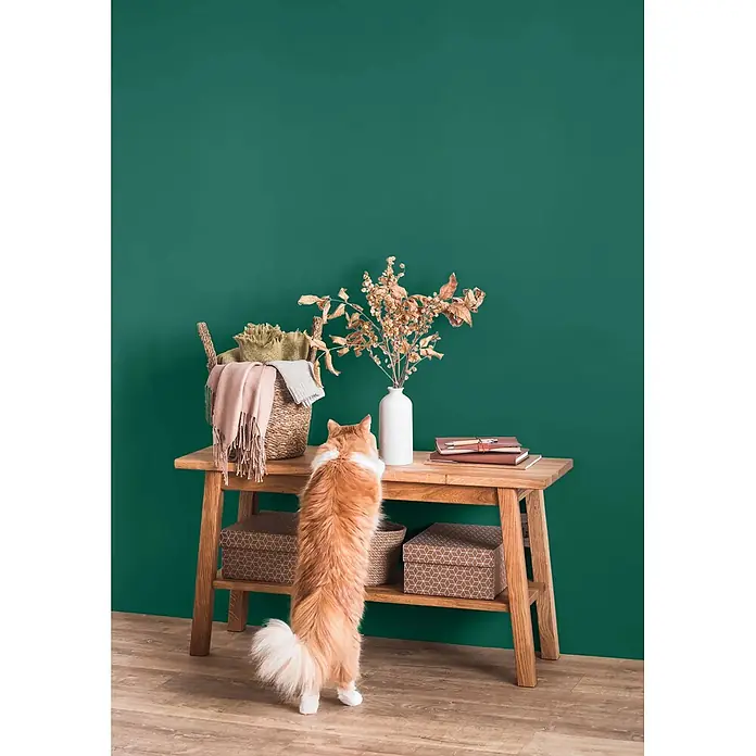 Caleo Color Wandfarbe Lehmfarbe Palmenblatt - Palmenblatt, Matt, 2,25 l - Eine Holzkonsolentisch mit Korb, getrockneten Pflanzen und Notizbüchern. Eine Katze streckt sich danach.