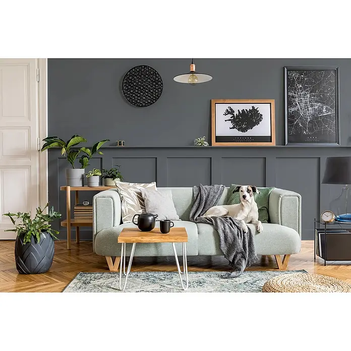 Caleo Color Buntlack Vulkanstein - Vulkanstein, Seidenmatt, 0,68 l, Wasserbasiert - Ein hellgrünes Polstersofa mit einem Hund darauf in einem modernen Wohnzimmer.