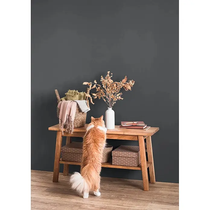 Caleo Color Wandfarbe Lehmfarbe Vulkanstein - Vulkanstein, Matt, 0,15 l - Helles Holz-Konsolentisch mit Dekoartikeln und einer Katze, die nach der Tischplatte greift.