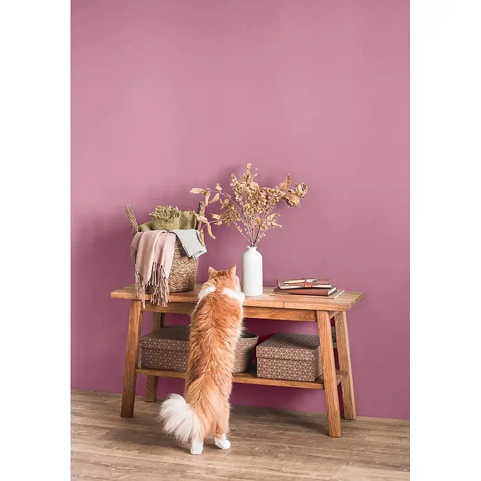 Caleo Color Wandfarbe Lehmfarbe Himbeere - Himbeere, Matt, 2,25 l - Eine flauschige orange Katze steht auf den Hinterbeinen und erreicht einen Holzkonsolentisch mit einer Vase getrockneter Zweige, Büchern und einem Korb mit Decken.