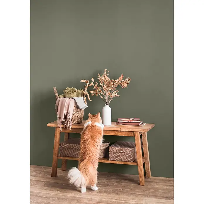 Caleo Color Wandfarbe Lehmfarbe Rosmarin - Rosmarin, Matt, 5 l - Ein heller Holzkonsolentisch mit Korb, Trockenblumen und Büchern. Eine neugierige Katze steht auf den Hinterbeinen und interagiert mit dem Tisch.
