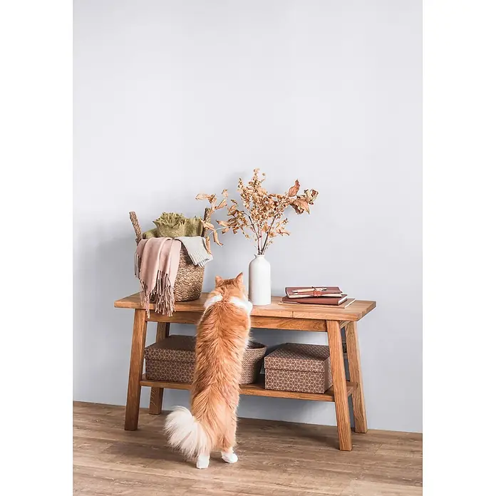 Caleo Color Wandfarbe Lehmfarbe Eismöwe - Eismöwe, Matt, 10 l - Ein heller Holztisch mit zwei Ablagen. Eine Katze steht auf den Hinterbeinen und reicht zum oberen Regal mit Korb, Decken, Trockenblumen und Notizbüchern.