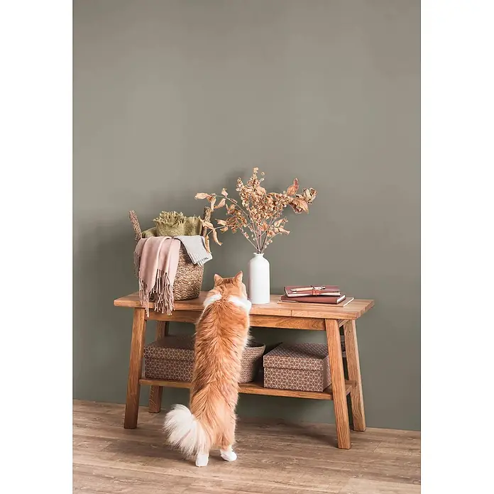 Caleo Color Wandfarbe Lehmfarbe Mangrovenwald - Mangrovenwald, Matt, 2,25 l - Heller Holztisch mit zwei Ablagen, darauf ein Korb, Vase, Bücher und Dekoboxen. Eine Ingwerkatze steht auf den Hinterbeinen und blickt auf die Tischplatte.