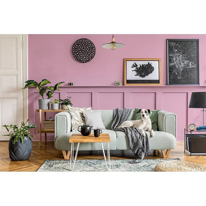 Caleo Color Buntlack Himbeere - Himbeere, Seidenmatt, 0,15 l, Wasserbasiert - Hellgrünes Polstersofa mit einem weißen Hund darauf und einem Holztisch davor.