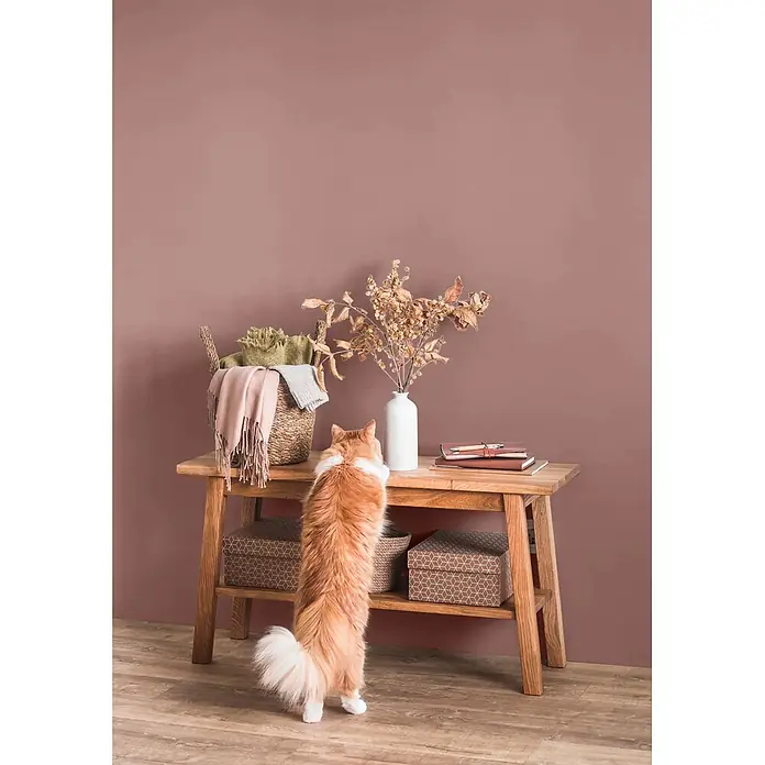 Caleo Color Wandfarbe Lehmfarbe Puder - Puder, Matt, 2,25 l - Konsole aus Naturholz mit Ablage, dekoriert mit Gegenständen und Boxen, von einer Katze begutachtet.