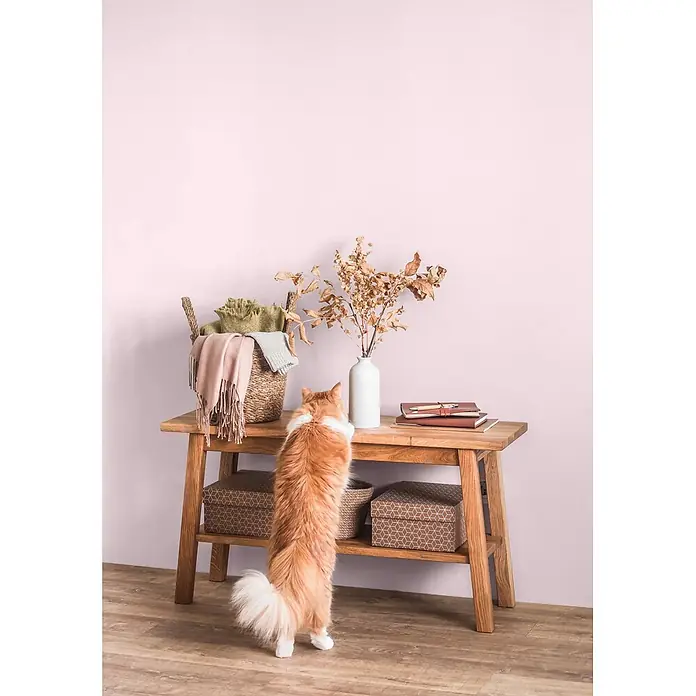 Caleo Color Wandfarbe Lehmfarbe Zuckerwatte - Zuckerwatte, Matt, 2,25 l - Eine rote Katze steht auf den Hinterbeinen und greift nach einem hellen Holzkonsolentisch mit Deckenkorb, trockenen Blättern und Notizbüchern.