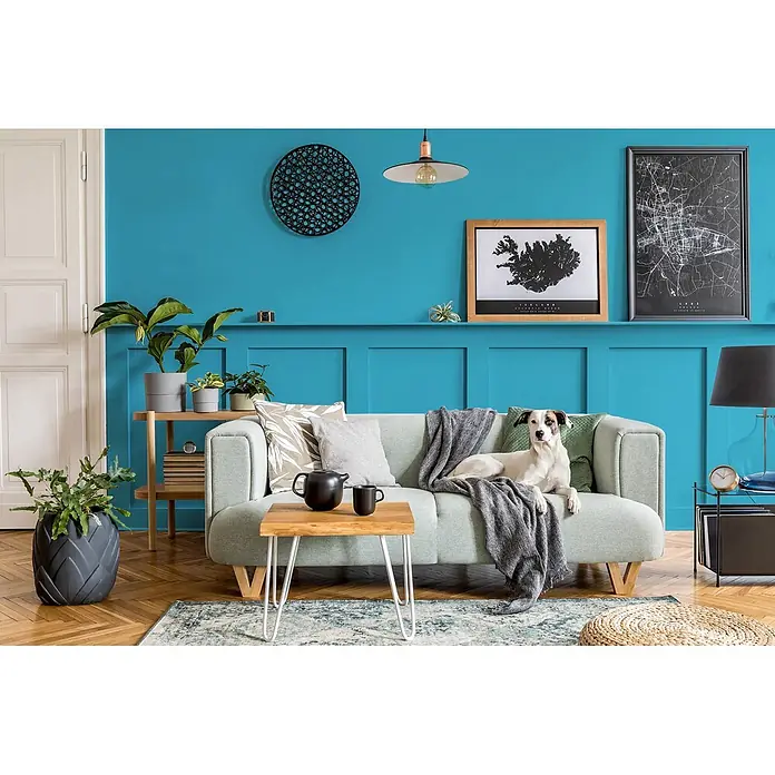 Caleo Color Buntlack Wellenspiel - Wellenspiel, Seidenmatt, 0,68 l, Wasserbasiert - Hellblaugrünes Sofa mit Holzbeinen und einem Hund, der darauf in einem gemütlichen Wohnzimmer entspannt.