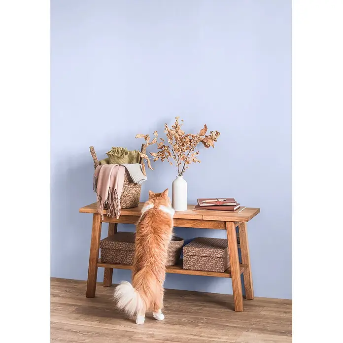 Caleo Color Wandfarbe Lehmfarbe Fliederstrauch - Fliederstrauch, Matt, 2,25 l - Flauschige orange Katze auf Hinterbeinen an einem Holz-Regaltisch mit Korb, Vase und Notizbüchern.
