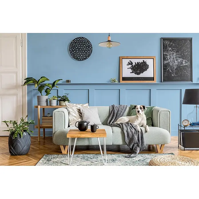 Caleo Color Buntlack Sommerregen - Sommerregen, Seidenmatt, 0,15 l, Wasserbasiert - Ein hellgrünes Sofa mit einem weißen Hund darauf in einem gemütlichen Wohnzimmer mit blauen Wänden und moderner Einrichtung.