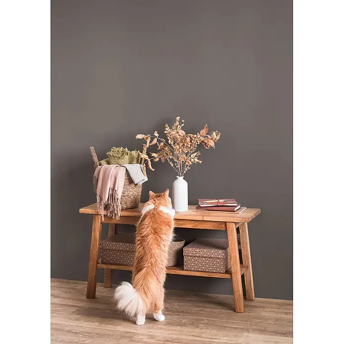 Caleo Color Wandfarbe Lehmfarbe Hochmoor - Hochmoor, Matt, 2,25 l - Ein heller Holzkonsolentisch mit einer Katze, die neugierig auf darauf platzierte Dekoartikel wie Körbe und Blumen schaut.