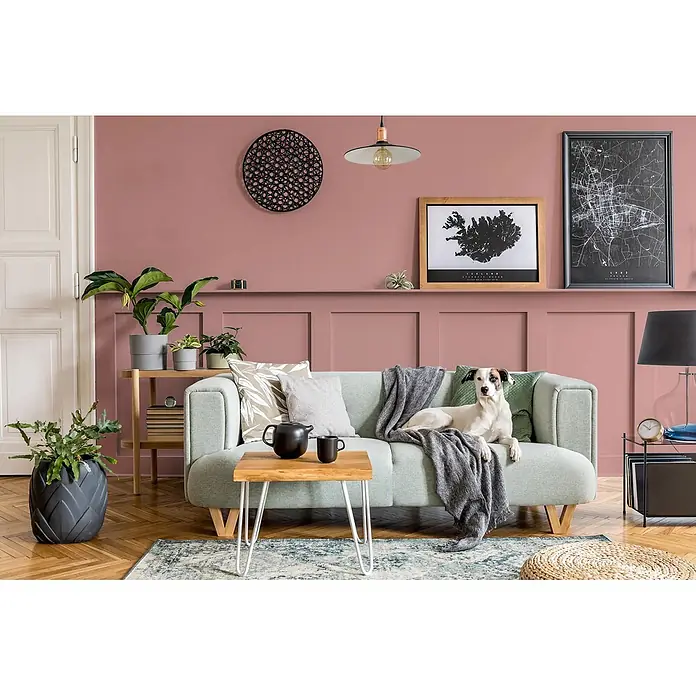Caleo Color Buntlack Sommerabend - Sommerabend, Seidenmatt, 0,68 l, Wasserbasiert - Hellgrünes Stoffsofa in einem gemütlichen Wohnzimmer, von einem Hund genutzt, mit Zierkissen und einer Decke.