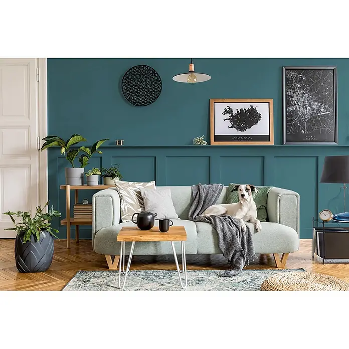 Caleo Color Buntlack Sommergewitter - Sommergewitter, Seidenmatt, 0,68 l, Wasserbasiert - Ein hellgrünes Stoffsofa mit Holzbeinen, mit einer grauen Decke, bietet einem Hund einen gemütlichen Platz im Wohnzimmer.