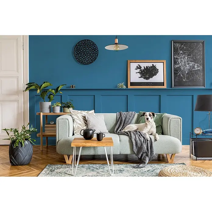 Caleo Color Buntlack Walgesang - Walgesang, Seidenmatt, 0,15 l, Wasserbasiert - Ein gemütliches Wohnzimmer mit einem hellgrünen Sofa, auf dem ein Hund liegt, einem Holztisch und blauen Täfelwänden.