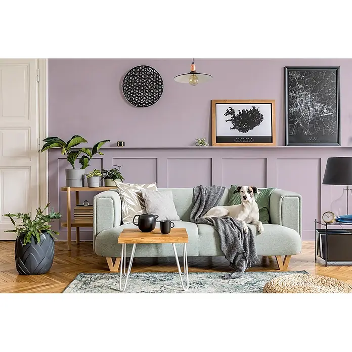 Caleo Color Buntlack Traumfänger - Traumfänger, Seidenmatt, 0,15 l, Wasserbasiert - Ein mintgrünes Sofa mit Holzbeinen, Kissen und einem Hund in einem gemütlichen Wohnzimmer.