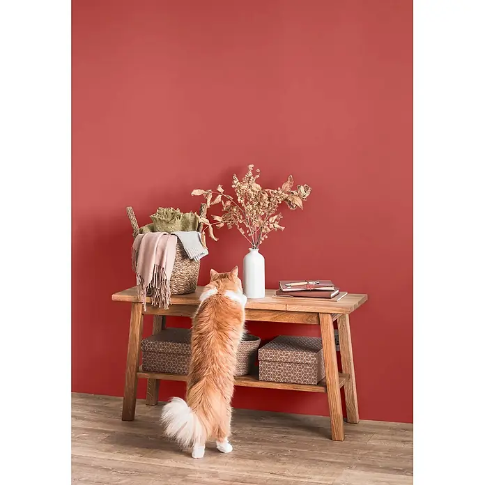 Caleo Color Wandfarbe Lehmfarbe Mohnblume - Mohnblume, Matt, 0,15 l - Hölzerner Konsolentisch mit Ablage, darauf ein Korb mit Decken und eine Vase mit Trockenzweigen, eine Katze schaut neugierig.