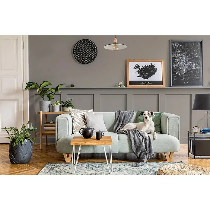 Caleo Color Buntlack Waldeule - Waldeule, Seidenmatt, 0,15 l, Wasserbasiert - Ein bequemes hellgrünes Sofa mit Kissen und Decke, ein Hund ruht darauf in einem modernen Wohnzimmer.