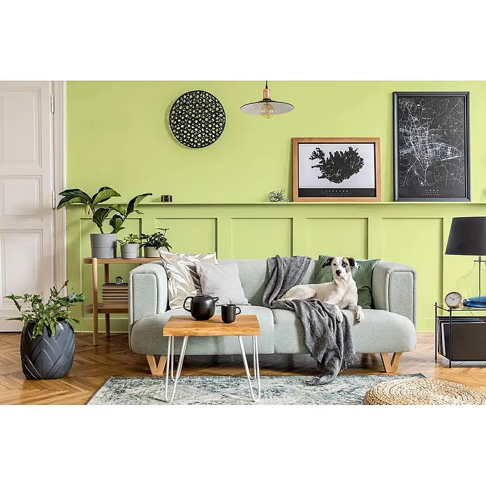 Caleo Color Buntlack Urzeitfarn - Urzeitfarn, Seidenmatt, 0,15 l, Wasserbasiert - Ein bequemes hellgrau-grünes Sofa mit Kissen und Decke.