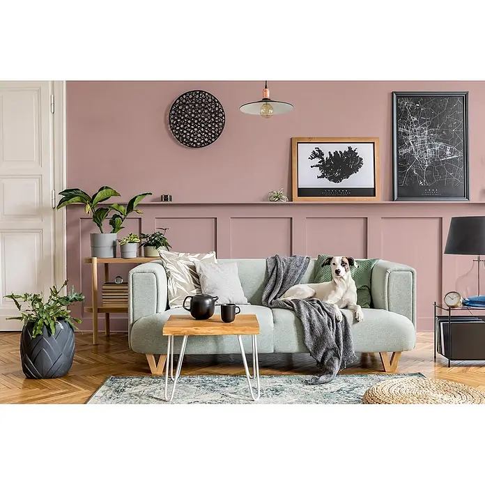 Caleo Color Buntlack Puder - Puder, Seidenmatt, 0,15 l, Wasserbasiert - Ein hellgrünes Sofa mit einem darauf entspannenden Hund in einem stilvollen Wohnzimmer.
