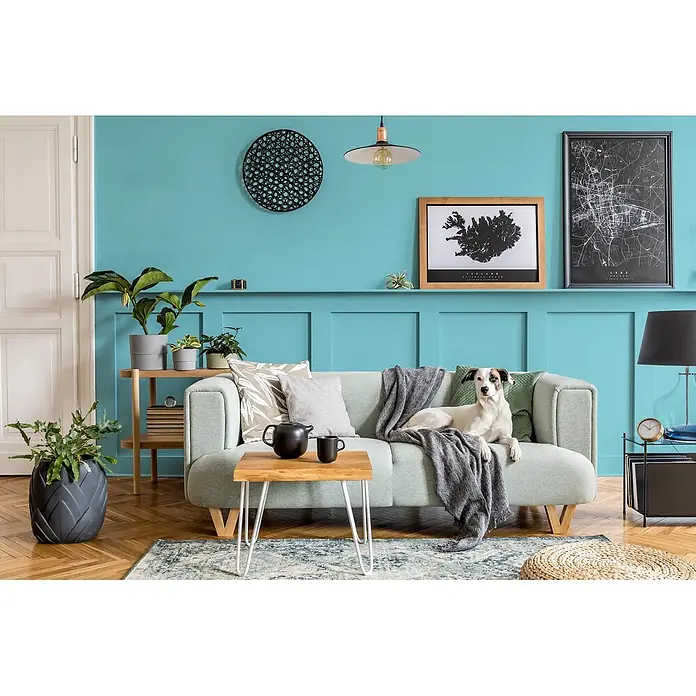 Caleo Color Buntlack Gletschertau - Gletschertau, Seidenmatt, 0,15 l, Wasserbasiert - Ein Hund ruht auf einem hellblauen Sofa mit Zierkissen und einer Decke in einem gemütlichen, modernen Wohnzimmer.