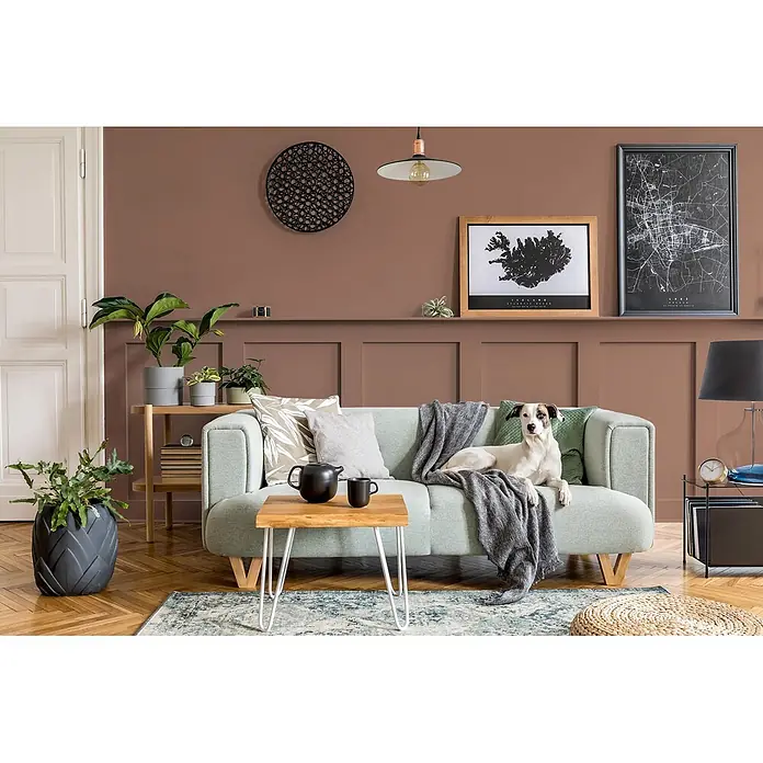 Caleo Color Buntlack Bärentatze - Bärentatze, Seidenmatt, 0,68 l, Wasserbasiert - Ein hellgrünes Sofa mit Hund und Decke in einem warm getönten Wohnzimmer.