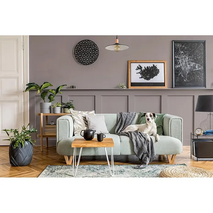 Caleo Color Buntlack Baumrinde - Baumrinde, Seidenmatt, 0,68 l, Wasserbasiert - Ein hellgrünes Sofa mit Hund, grauer Decke und Kissen in einem modernen Wohnzimmer mit Holztisch, Pflanzen und Wandkunst.