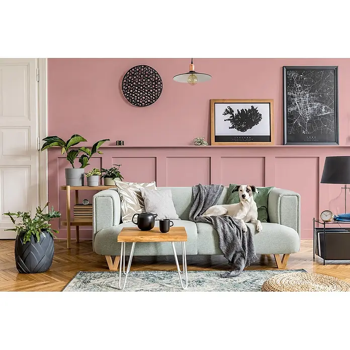 Caleo Color Buntlack Rosenquarz - Rosenquarz, Seidenmatt, 0,15 l, Wasserbasiert - Ein Hund ruht auf einem hellgrünen Sofa in einem stilvollen Wohnzimmer mit rosa Wandvertäfelung, Holzfußboden und Pflanzen.