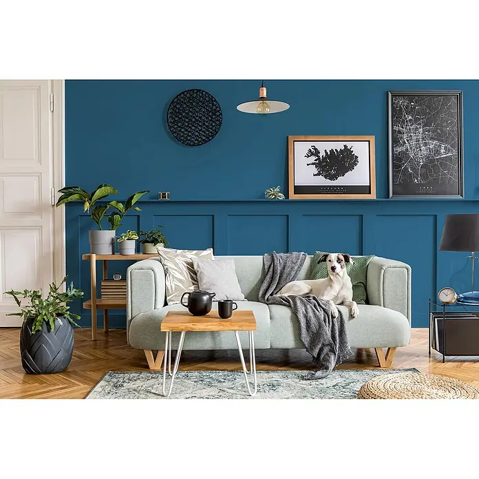 Caleo Color Buntlack Tiefsee - Tiefsee, Seidenmatt, 0,68 l, Wasserbasiert - Modernes hellgrünes Stoffsofa mit einem Hund, der bequem darauf in einem stilvollen Wohnzimmer ruht.