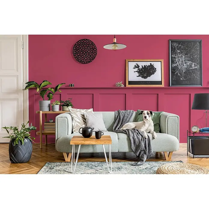 Caleo Color Buntlack Drachenglut - Drachenglut, Seidenmatt, 0,68 l, Wasserbasiert - Hellgrünes Sofa mit Holzbeinen in einem stilvollen Wohnzimmer, auf dem ein Hund ruht.