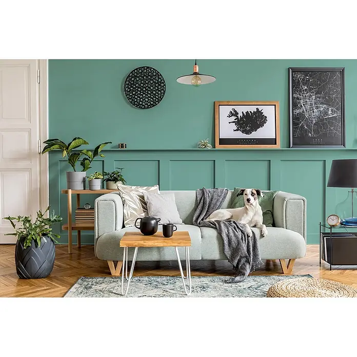 Caleo Color Buntlack Elbling - Elbling, Seidenmatt, 0,15 l, Wasserbasiert - Helles grünes Stoffsofa mit Holzbeinen, mit einem grauen Überwurf, in einem stilvollen Wohnzimmer.