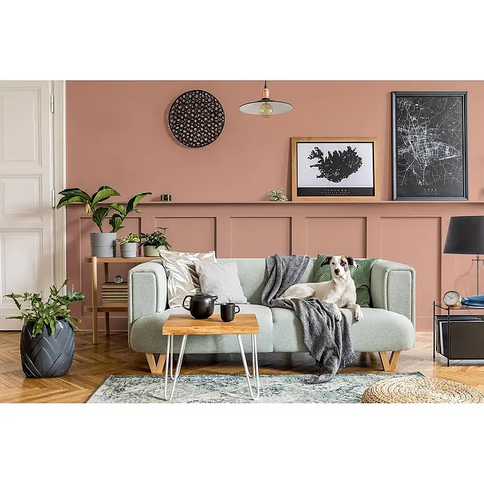 Caleo Color Buntlack Herbstlaub - Herbstlaub, Seidenmatt, 0,15 l, Wasserbasiert - Ein hellgrünes Sofa mit Hund in einem modernen Wohnzimmer. Mit Holztisch, Pflanzen und warmrosa Wänden.