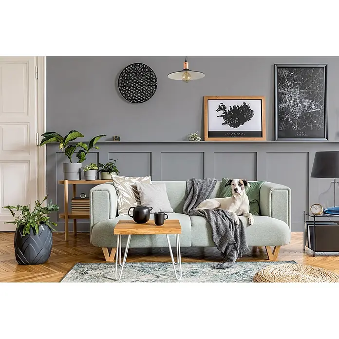 Caleo Color Buntlack Winternacht - Winternacht, Seidenmatt, 0,68 l, Wasserbasiert - Ein modernes Wohnzimmer mit hellgrünem Sofa, einem Hund, einem Holztisch und Pflanzen.