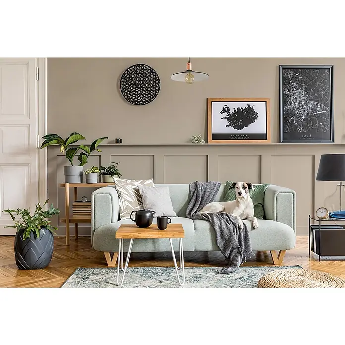 Caleo Color Buntlack Steineiche - Steineiche, Seidenmatt, 0,15 l, Wasserbasiert - Hellgrünes Stoffsofa mit Holzbeinen in einem Wohnzimmer, mit Hund, Kissen und einer Decke.