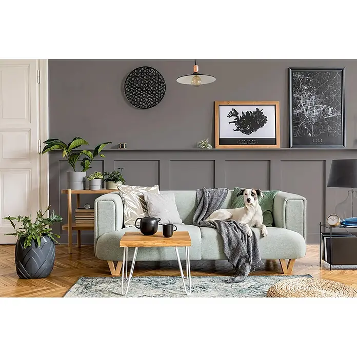 Caleo Color Buntlack Hochmoor - Hochmoor, Seidenmatt, 0,68 l, Wasserbasiert - Hellgrünes Polstersofa mit einem Hund darauf in einem modernen Wohnzimmer.