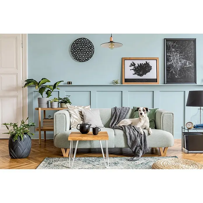 Caleo Color Buntlack Eisenherz - Eisenherz, Seidenmatt, 0,68 l, Wasserbasiert - Ein modernes hellgrünes Stoffsofa mit Holzbeinen und Zierkissen, in einem zeitgenössischen Wohnzimmer arrangiert.