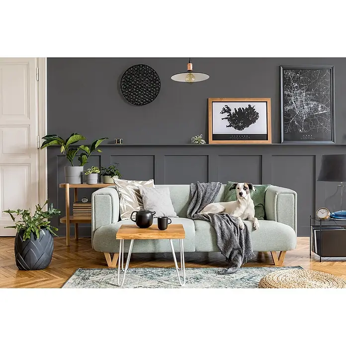 Caleo Color Buntlack Ebenholz - Ebenholz, Seidenmatt, 0,68 l, Wasserbasiert - Ein hellgrünes Stoffsofa mit Holzbeinen, Kissen, einer grauen Decke und einem darauf ruhenden Hund, in einem stilvollen Wohnzimmer.