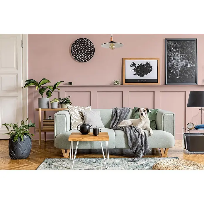 Caleo Color Buntlack Magnolie - Magnolie, Seidenmatt, 0,15 l, Wasserbasiert - Ein hellgrünes Stoffsofa mit Holzbeinen, Kissen und einer Decke, auf dem ein Hund in einem modernen Wohnzimmer liegt.