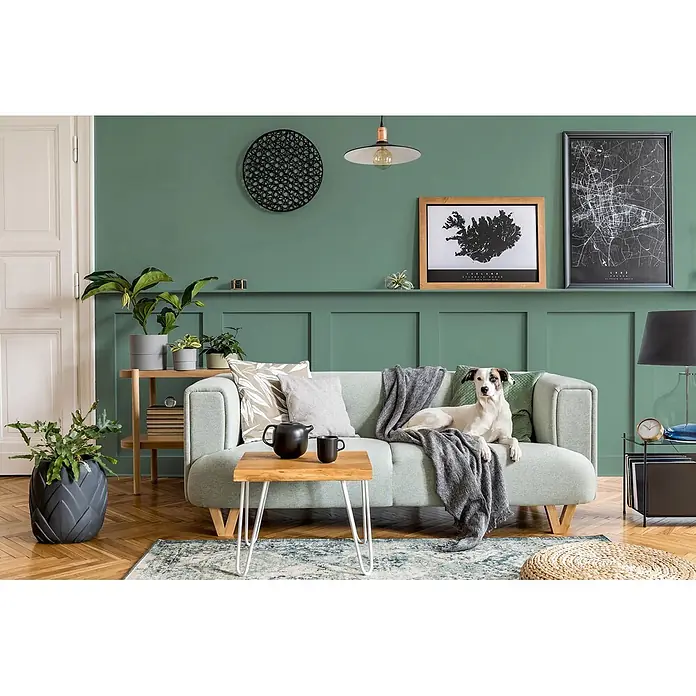 Caleo Color Buntlack Feigenblatt - Feigenblatt, Seidenmatt, 0,68 l, Wasserbasiert - Ein hellgrünes Stoffsofa in einem gemütlichen Wohnzimmer, auf dem ein Hund liegt.