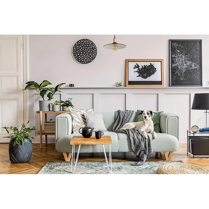 Caleo Color Buntlack Sternenschweif - Sternenschweif, Seidenmatt, 0,15 l, Wasserbasiert - Hellgrünes Stoffsofa mit Holzbeinen, ideal für ein gemütliches Wohnzimmer.