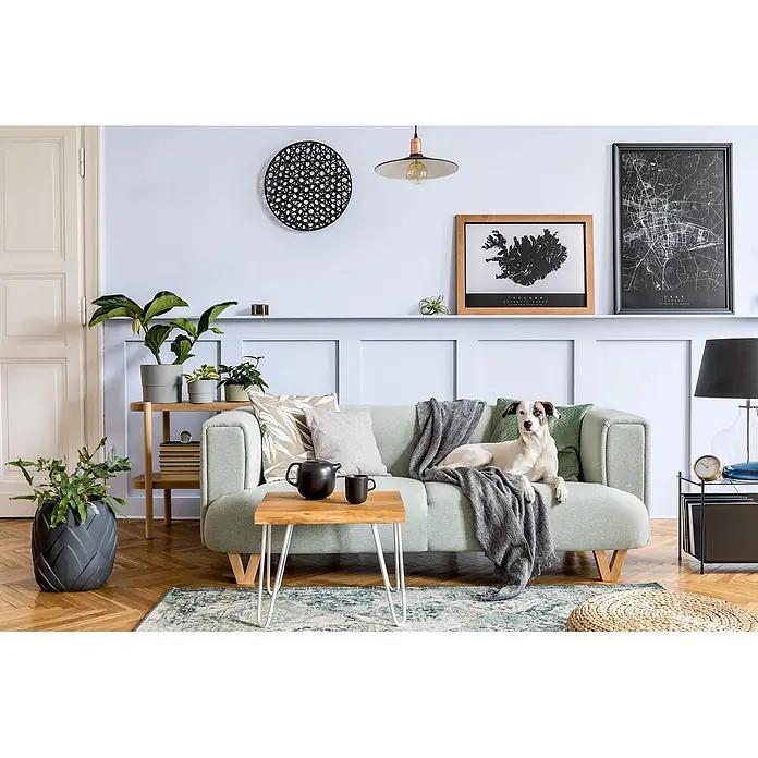 Caleo Color Buntlack Fliederstrauch - Fliederstrauch, Seidenmatt, 0,68 l, Wasserbasiert - Hellgrünes Sofa mit Holzbeinen, mit grauer Decke und einem weißen Hund darauf in einem modernen Wohnzimmer.