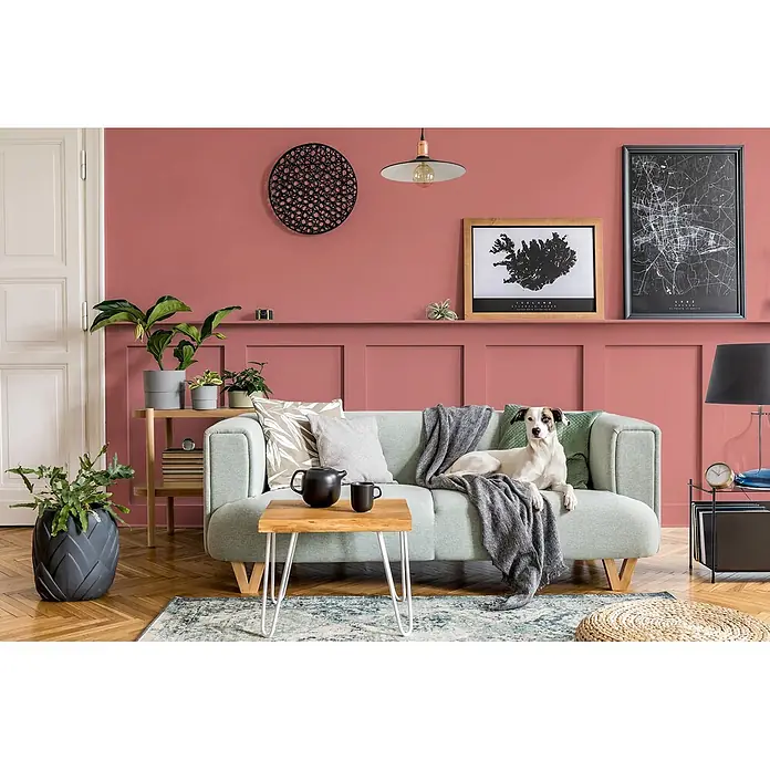 Caleo Color Buntlack Rosenknospe - Rosenknospe, Seidenmatt, 0,15 l, Wasserbasiert - Ein hellgrünes Stoffsofa mit einem darauf liegenden Hund in einem modernen Wohnzimmer.