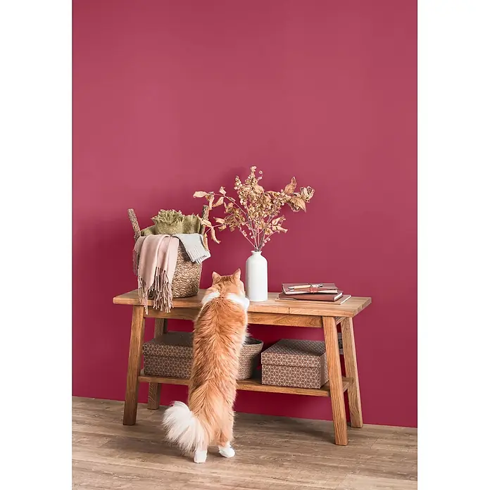 Caleo Color Wandfarbe Lehmfarbe Drachenglut - Drachenglut, Matt, 0,15 l - Leichter Holzkonsolentisch mit einer Katze, die auf den Hinterbeinen stehend getrocknete Blumen in einer Vase und einen Korb mit Textilien betrachtet.