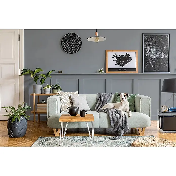 Caleo Color Buntlack Donnergrollen - Donnergrollen, Seidenmatt, 0,68 l, Wasserbasiert - Ein hellgrünes Polstersofa in einem modernen Wohnzimmer, mit einem darauf entspannenden Hund, mit Holzbeinen und weichen Kissen.