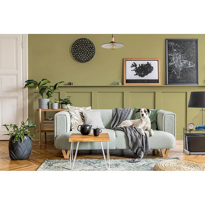 Caleo Color Buntlack Pistazie - Pistazie, Seidenmatt, 0,68 l, Wasserbasiert - Hellgrünes Stoffsofa mit Holzbeinen, dekoriert mit Kissen und einem grauen Plaid, in einem stilvollen Wohnzimmer.