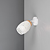 Reality Leuchten Bidar Aplique de pared (Blanco, E14, Diámetro: 12 cm) | BAUHAUS