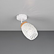 Reality Leuchten Bidar Aplique de pared (Blanco, E14, Diámetro: 12 cm) | BAUHAUS